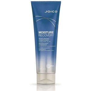 Joico Moisture Recovery Conditioner capelli secchi 250ml