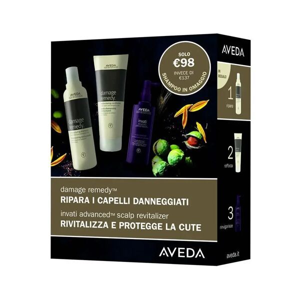 aveda damage remedy e invati advanced scalp revitalizer set