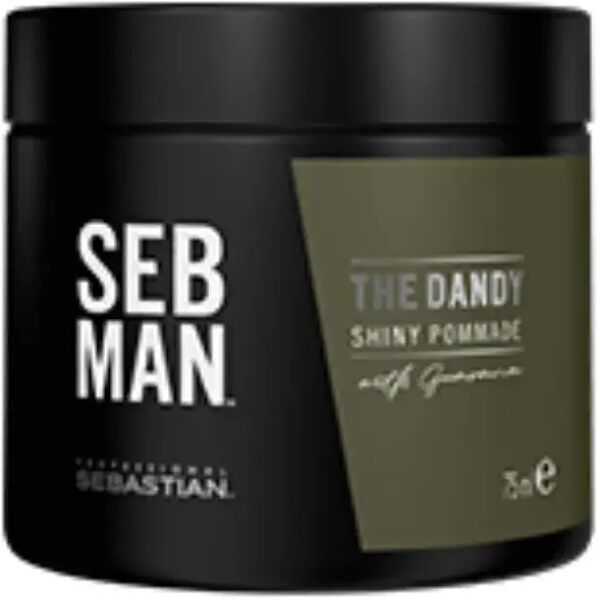 sebastian man the dandy pomata per capelli uomo 75ml