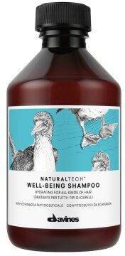 Davines Naturaltech Well Being Shampoo 250ml