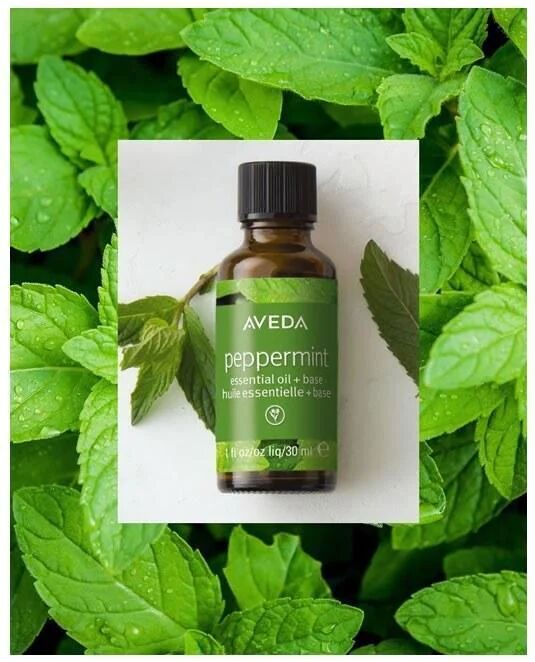 aveda oli essenziali peppermint 30ml