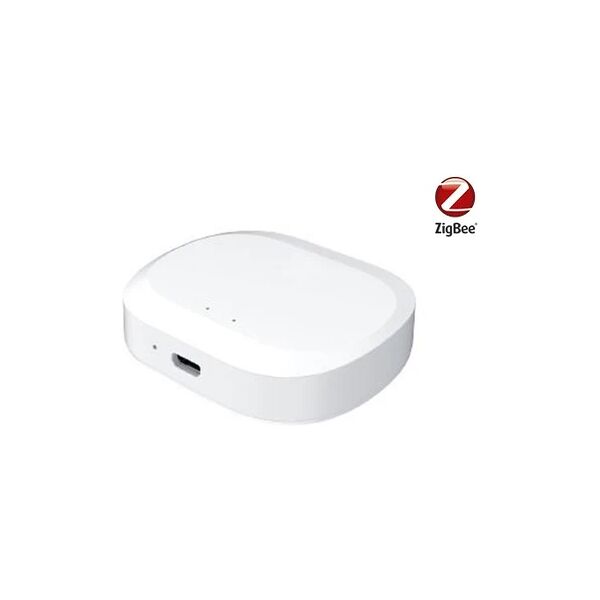 homcloud centralina/hub intelligente zigbee - alimentatore e cavo micro usb inclusi - connessione al router in wi-fi senza fili