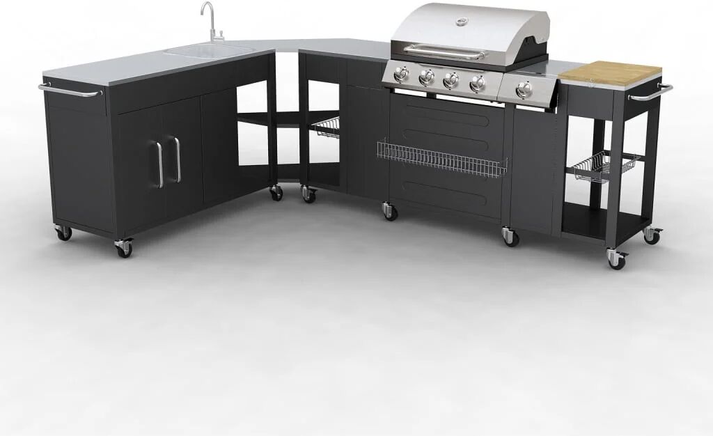 Vidaxl Barbecue a gas Montana, cucina portabile 4 bruciatori +1