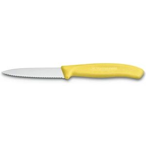 Victorinox SwissClassic 6.7636 Spelucchino Acciaio inossidabile