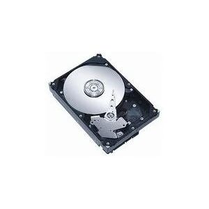 CoreParts 600GB 15000rpm 3.5