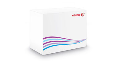 Xerox 006R01795 cartuccia toner Originale Oro 1 pezzo(i) [006R01795]