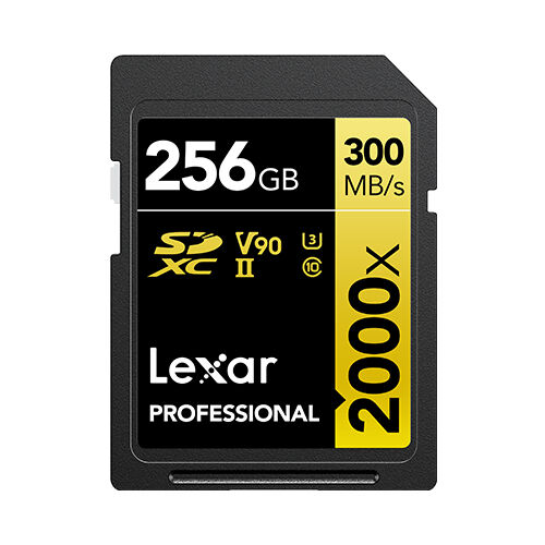 Lexar LSD2000256G-BNNNG memoria flash 256 GB SDXC Classe 10 [LSD2000256G-BNNNG]