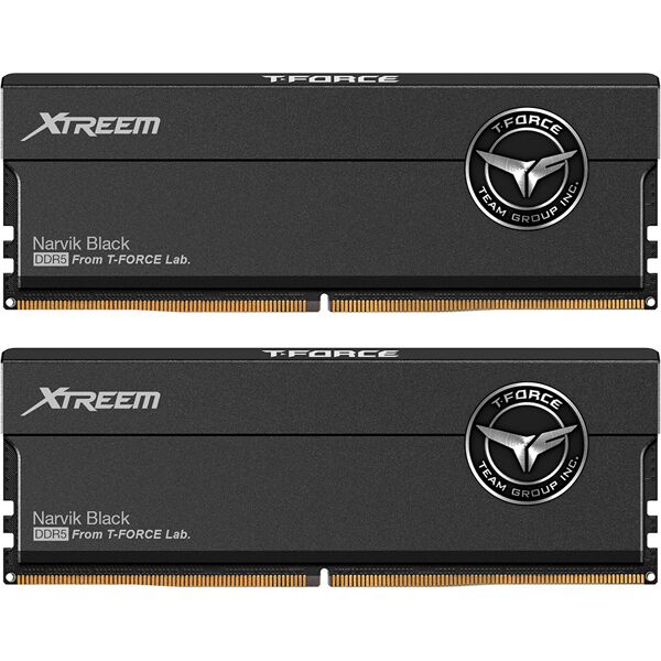 team group t-force xtreem ffxd548g7600hc36edc01 memoria 48 gb 2 x 24 ddr5 7600 mhz data integrity check (verifica integrità dati) [ffxd548g8200hc38edc01]