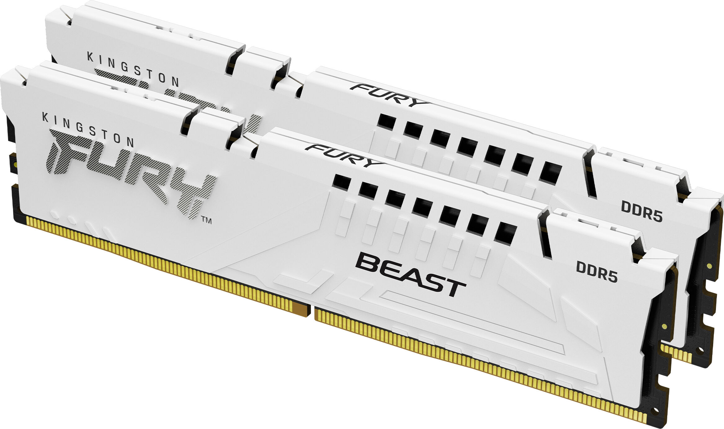 Kingston Memoria  FURY Beast 64 GB 6000 MT/s DDR5 CL36 DIMM (Kit da 2) White EXPO [KF560C36BWEK2-64]