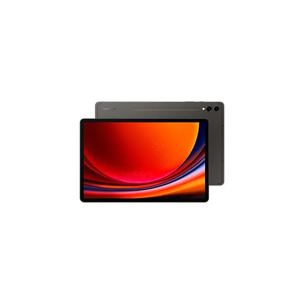 samsung tablet  galaxy tab s9+ sm-x810n qualcomm snapdragon 256 gb 31,5 cm (12.4) 12 wi-fi 6 (802.11ax) android 13 grafite [sm-x810nzaaeub]