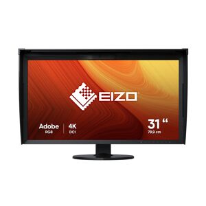 Eizo Monitor  ColorEdge CG319X LED display 79 cm (31.1