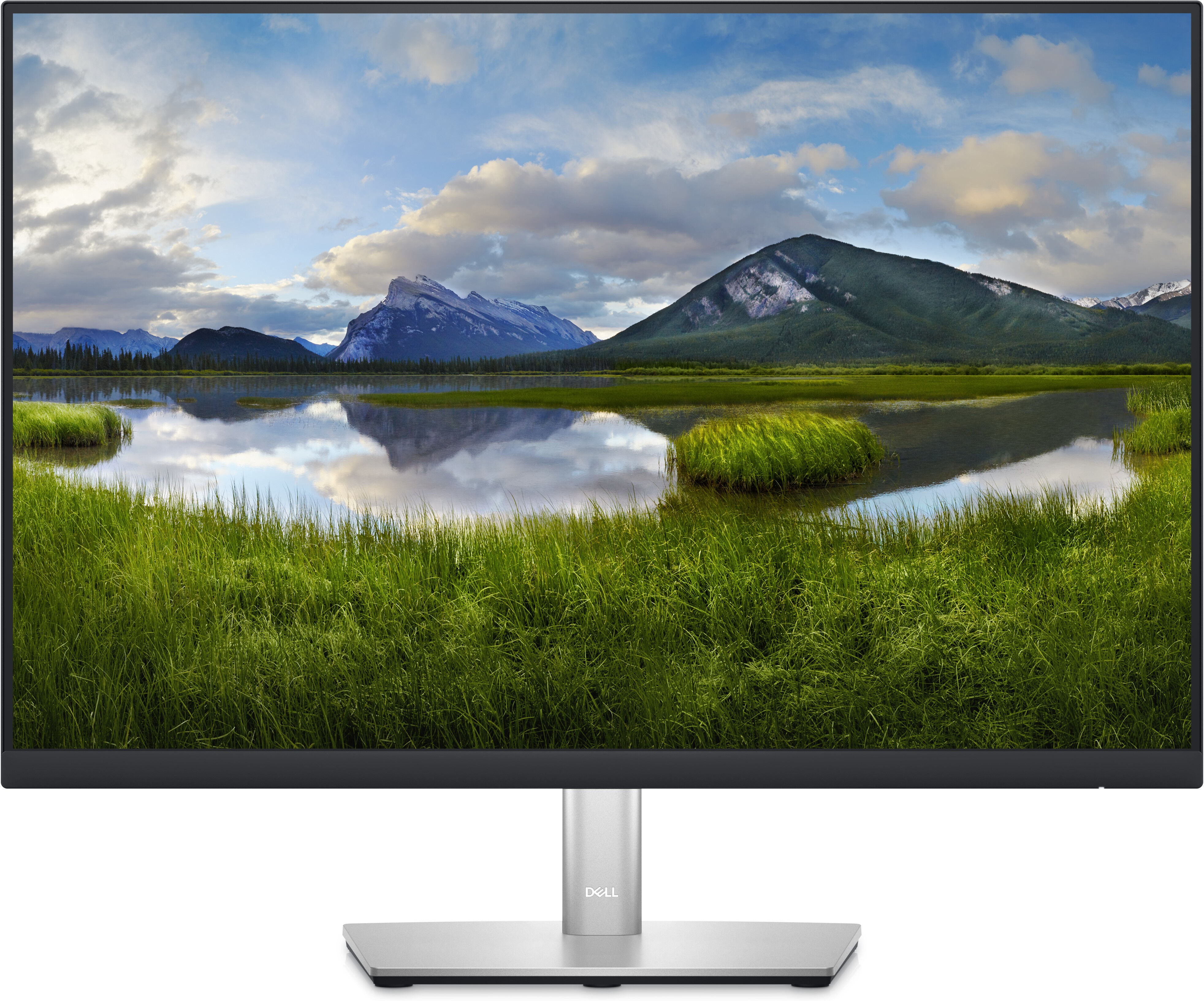 Dell P Series Monitor 24 : P2423 [210-BDFS]