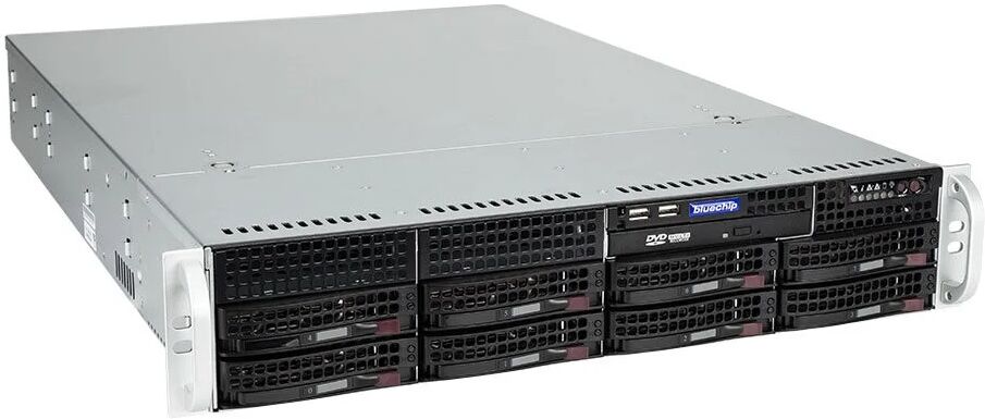 bluechip SERVERline R42306s server 960 GB Armadio (2U) AMD EPYC 7232P 3,1 GHz 32 DDR4-SDRAM 800 W [850370] SENZA SISTEMA OPERATIVO