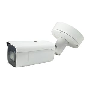 Levelone Fcs-5096 Telecamera Di Sorveglianza Capocorda Telecamera Sicurezza Ip Interno E Esterno 1920 X 1080 Pixel Soffitto/muro [fcs-5096]