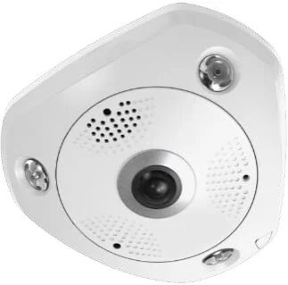 LevelOne FCS-3095 telecamera di sorveglianza Sferico Telecamera sicurezza IP Interno e esterno 4000 x 3000 Pixel Soffitto/Parete/scrivania [FCS-3095]