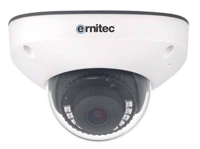 Ernitec 0070-08011 telecamera di sorveglianza Lampadina Telecamera sicurezza IP 2592 x 1944 Pixel Soffitto [0070-08011]