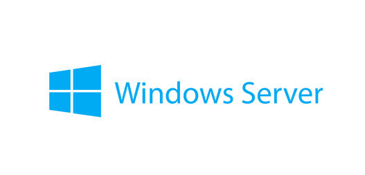 Lenovo Windows Remote Desktop Services CAL 2019 [7S05002FWW]