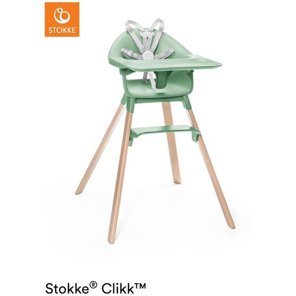 stokke seggiolone pappa clikk clover green