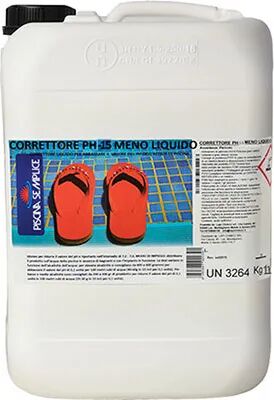 lapi regolatore ph meno 15% per piscina liquido lt 10