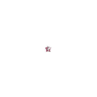 SANICO Srl INVERNESS ORECCHINI FARFALLA CRISTALLO ROSA SANICO Srl INVERNESS ORECCHINI FARFALLA CRISTALLO ROSA