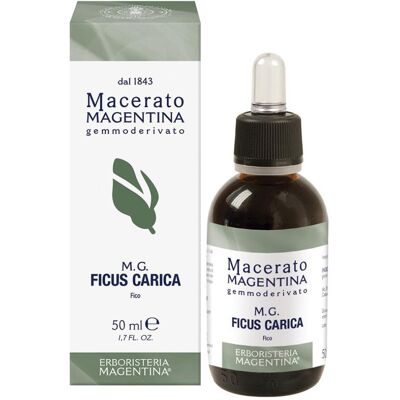 ERBORISTERIA MAGENTINA Srl FICUS CARICA MACERATO MAGE50ML ERBORISTERIA MAGENTINA Srl FICUS CARICA MACERATO MAGE50ML