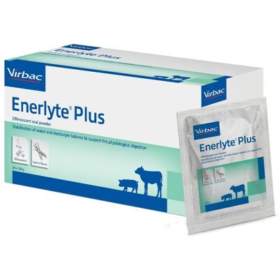 VIRBAC Srl ENERLYTE PLUS 24 BS VIRBAC Srl ENERLYTE PLUS 24 BS