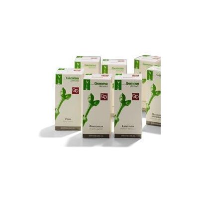 FITOMEDICAL Magnolia Off 50ml Mg FITOMEDICAL Magnolia Off 50ml Mg