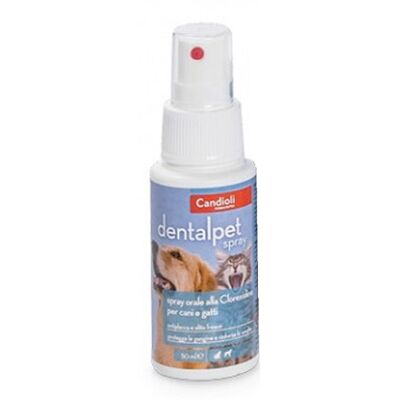 Candioli Marchio Modello - Spray Dentale - Igiene Orale Efficace Candioli Marchio Modello - Spray Dentale - Igiene Orale Efficace