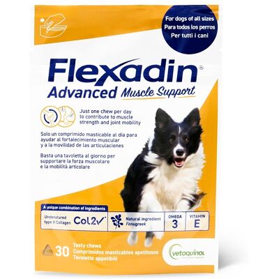 VETOQUINOL ITALIA SRL V FLEXADIN ADVANCED MUSCLE SUPP VETOQUINOL ITALIA SRL V FLEXADIN ADVANCED MUSCLE SUPP