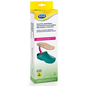 CLOG EVO ANAT ANT INS MIC37-38 CLOG EVO ANAT ANT INS MIC37-38