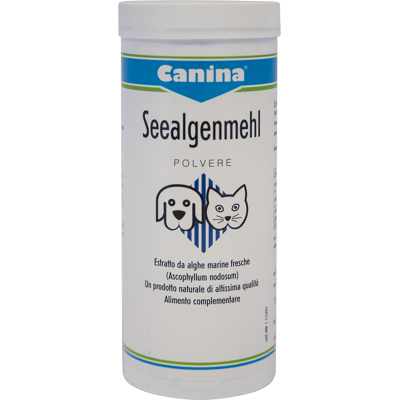 SEEALGEN POLV 250G SEEALGEN POLV 250G