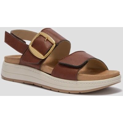 Scilla Sandali Scholl - Marrone 37 Scilla Sandali Scholl - Marrone 37