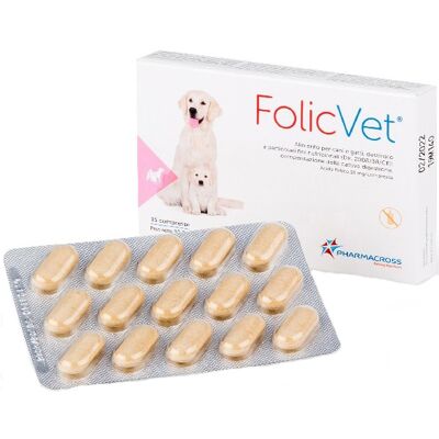 PHARMACROSS CO LTD FOLICVET 15CPR PHARMACROSS CO LTD FOLICVET 15CPR