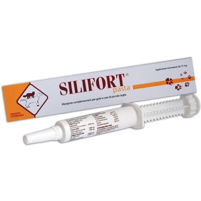 DDFARMA Srl SILIFORT PASTA OS SIRINGA 30G DDFARMA Srl SILIFORT PASTA OS SIRINGA 30G