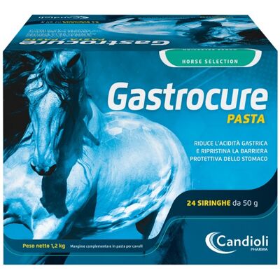 CANDIOLI IST.PROFIL.E FARM.SpA GASTROCURE 24SIR 50G CANDIOLI IST.PROFIL.E FARM.SpA GASTROCURE 24SIR 50G