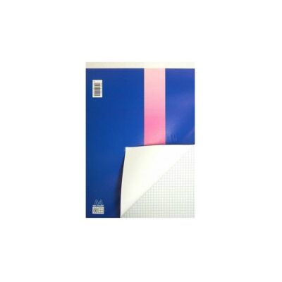 Blasetti - Blocco Notes Bristol A4 60 Fogli 5mm 10 Pezzi Blasetti - Blocco Notes Bristol A4 60 Fogli 5mm 10 Pezzi