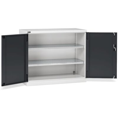 Armadio ante battenti Fami Perfom 64x27 EH 1193x555x1000 con 2 ripiani, portata 800 Kg Armadio ante battenti Fami Perfom 64x27 EH 1193x555x1000 con 2 ripiani, portata 800 Kg