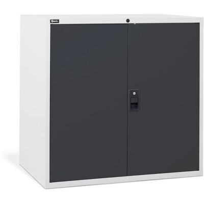 Armadio per ufficio Fami Master DE 1020x726x1000mm con 2 ante battenti, 2000Kg Armadio per ufficio Fami Master DE 1020x726x1000mm con 2 ante battenti, 2000Kg
