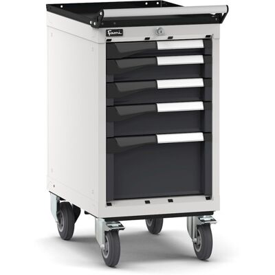 Carrello portautensili Fami Master con 5 cassetti ad estrazione regolabile bicolore, 408x573x822mm Carrello portautensili Fami Master con 5 cassetti ad estrazione regolabile bicolore, 408x573x822mm