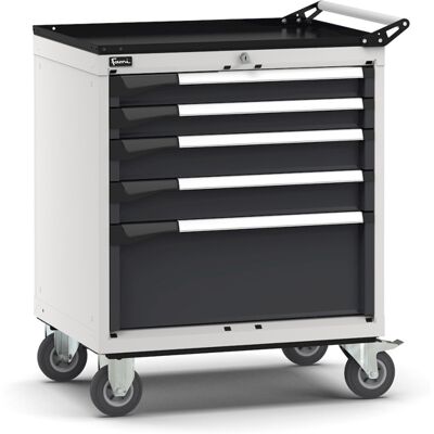 Carrello portautensili Fami Master con 5 cassetti ad estrazione regolabile bicolore, 714x573x922mm Carrello portautensili Fami Master con 5 cassetti ad estrazione regolabile bicolore, 714x573x922mm