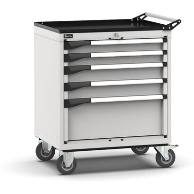 Carrello portautensili Fami Master con 5 cassetti ad estrazione regolabile grigio, 714x573x922mm Carrello portautensili Fami Master con 5 cassetti ad estrazione regolabile grigio, 714x573x922mm