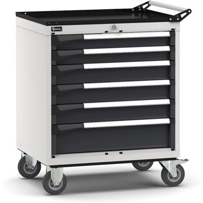 Carrello portautensili Fami Master con 6 cassetti ad estrazione regolabile bicolore, 714x573x922mm Carrello portautensili Fami Master con 6 cassetti ad estrazione regolabile bicolore, 714x573x922mm