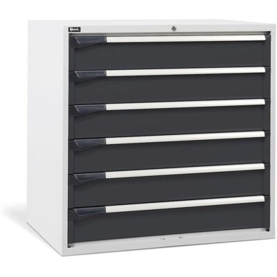 Cassettiera per industria Fami Master DE 1020x726x1000mm bicolore con 6 cassetti, 2000Kg Cassettiera per industria Fami Master DE 1020x726x1000mm bicolore con 6 cassetti, 2000Kg