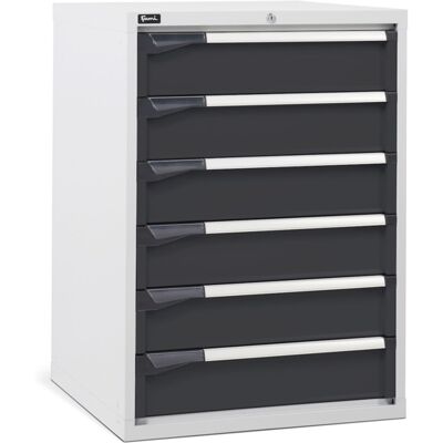 Cassettiera per industria Fami Master DE 714x726x1000mm bicolore con 6 cassetti, 2000Kg Cassettiera per industria Fami Master DE 714x726x1000mm bicolore con 6 cassetti, 2000Kg
