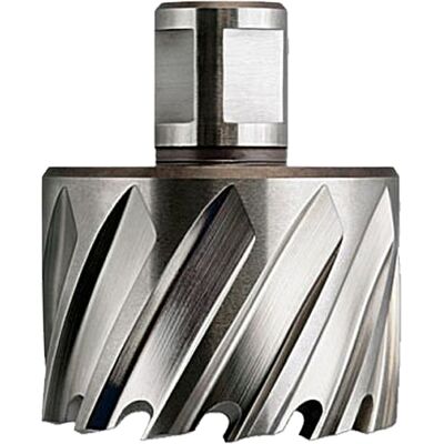 Fein Nova 25 Perforatrice a Nucleo - 45mm - 25mm Profondità - HSS Fein Nova 25 Perforatrice a Nucleo - 45mm - 25mm Profondità - HSS