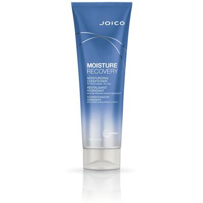 Joico Balsamo Moisture Recovery 250 ml Joico Balsamo Moisture Recovery 250 ml