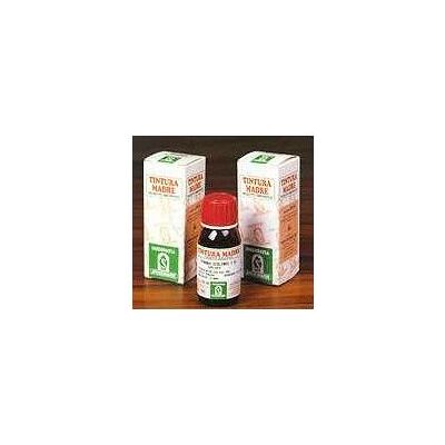 Specchiasol Srl Modello 61 Erisimo - Soluzione Respiratoria Specchiasol Srl Modello 61 Erisimo - Soluzione Respiratoria