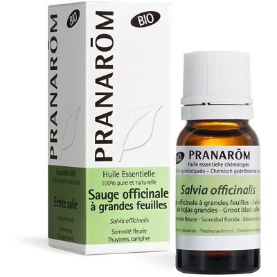 PRANAROM PRANARÔM Salvia 10 ml Olio essenziale PRANAROM PRANARÔM Salvia 10 ml Olio essenziale