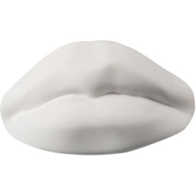 Seletti - Decorazione New antic - Bianco - Porcellana Seletti - Decorazione New antic - Bianco - Porcellana