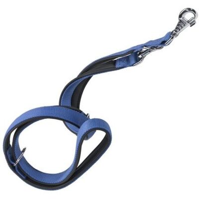 Ferplast Guinzaglio da Addestramento per Cani Daytona Blu M Ferplast Guinzaglio da Addestramento per Cani Daytona Blu M